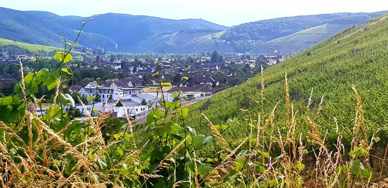 Ahrweiler Seelchen Bad Neuenahr-Ahrweiler Zewnętrze zdjęcie