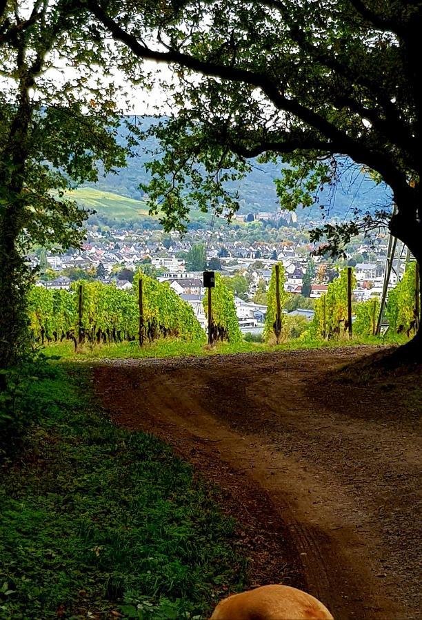 Ahrweiler Seelchen Bad Neuenahr-Ahrweiler Zewnętrze zdjęcie
